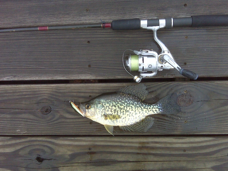 3/31/10 - Lake Cochituate