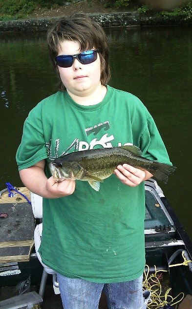 largemouth bass