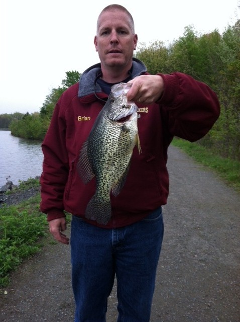 Jumbo Crappie